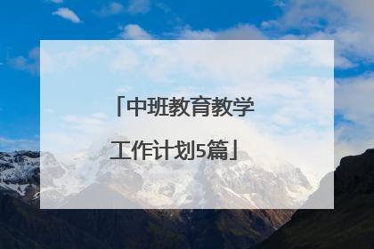 中班教育教学工作计划5篇