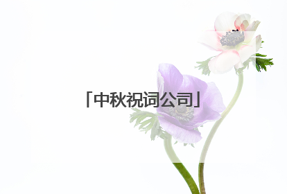 中秋祝词公司