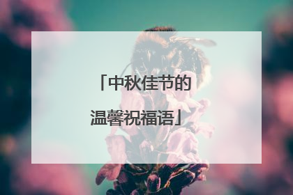 中秋佳节的温馨祝福语