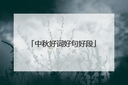 中秋好词好句好段