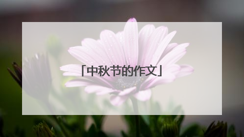 中秋节的作文