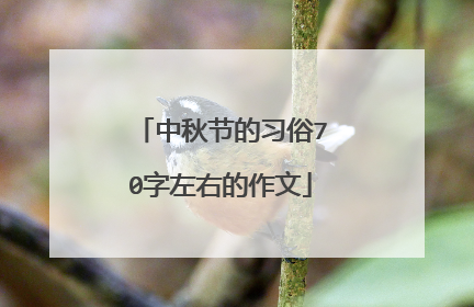 中秋节的习俗70字左右的作文