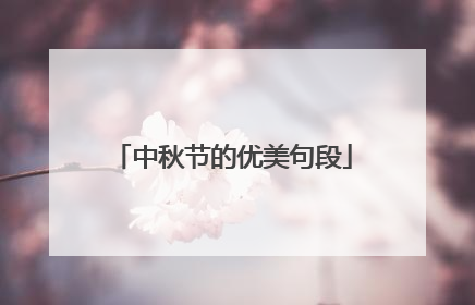 中秋节的优美句段