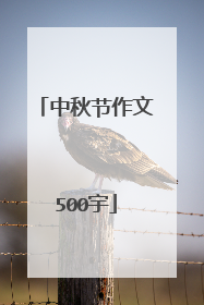 中秋节作文500宇