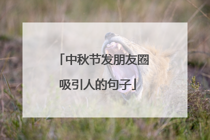 中秋节发朋友圈吸引人的句子