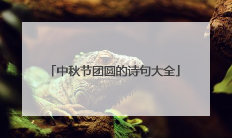 中秋节团圆的诗句大全