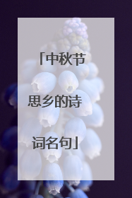 中秋节思乡的诗词名句