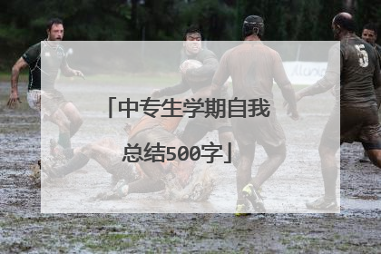 中专生学期自我总结500字