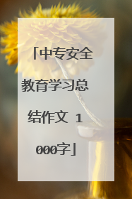 中专安全教育学习总结作文 1000字