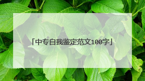 中专自我鉴定范文100字
