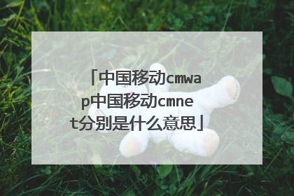 中国移动cmwap中国移动cmnet分别是什么意思