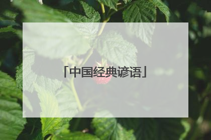 中国经典谚语