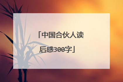 中国合伙人读后感300字