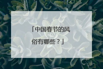 中国春节的风俗有哪些？