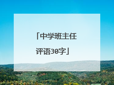 中学班主任评语30字