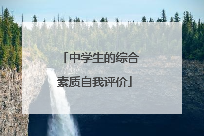 中学生的综合素质自我评价