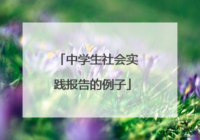 中学生社会实践报告的例子