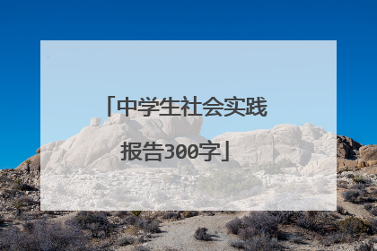 中学生社会实践报告300字