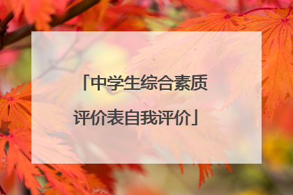 中学生综合素质评价表自我评价