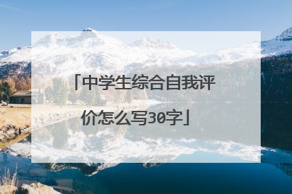 中学生综合自我评价怎么写30字
