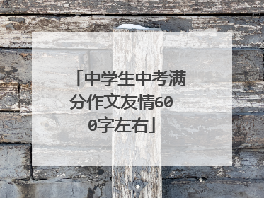 中学生中考满分作文友情600字左右