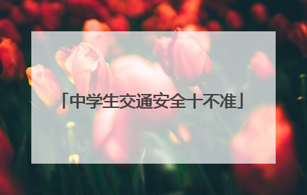 中学生交通安全十不准