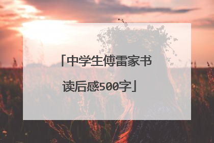 中学生傅雷家书读后感500字