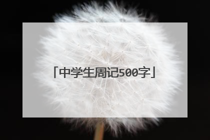 中学生周记500字