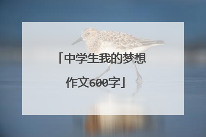 中学生我的梦想作文600字