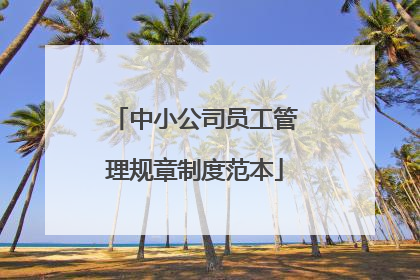 中小公司员工管理规章制度范本