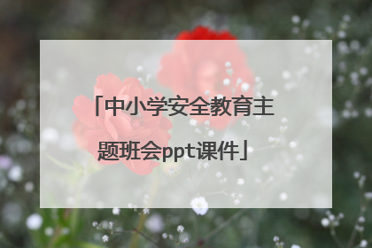 中小学安全教育主题班会ppt课件