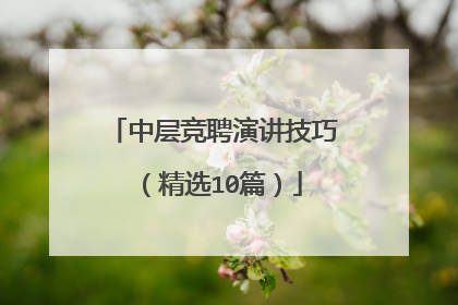 中层竞聘演讲技巧（精选10篇）