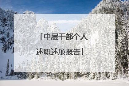 中层干部个人述职述廉报告