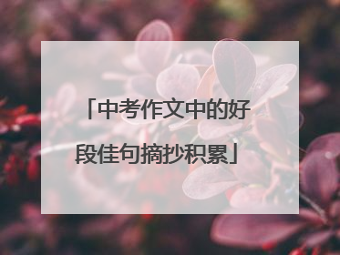 中考作文中的好段佳句摘抄积累