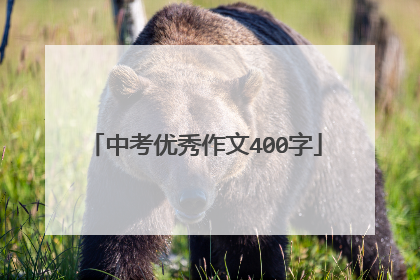 中考优秀作文400字