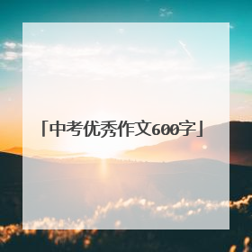 中考优秀作文600字