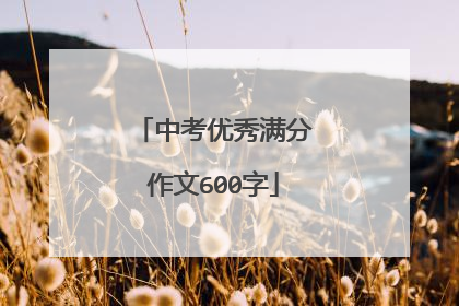 中考优秀满分作文600字