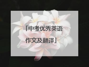 中考优秀英语作文及翻译