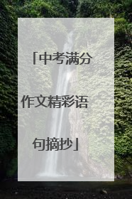 中考满分作文精彩语句摘抄