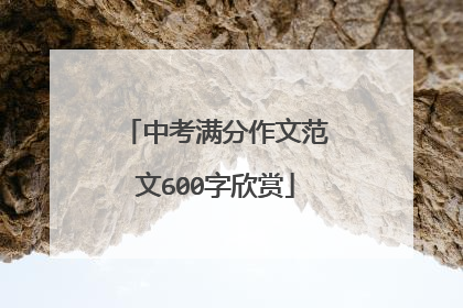 中考满分作文范文600字欣赏