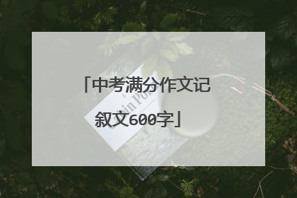 中考满分作文记叙文600字