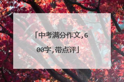 中考满分作文,600字,带点评