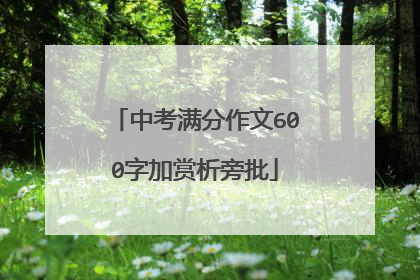 中考满分作文600字加赏析旁批