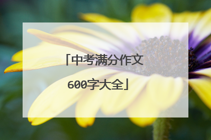 中考满分作文600字大全