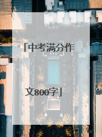 中考满分作文800字