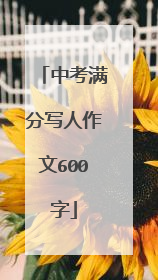 中考满分写人作文600字