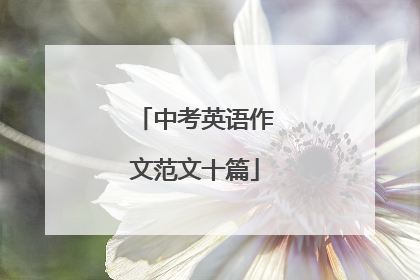 中考英语作文范文十篇