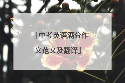 中考英语满分作文范文及翻译