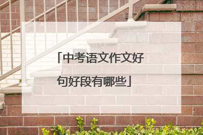 中考语文作文好句好段有哪些
