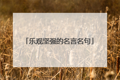 乐观坚强的名言名句